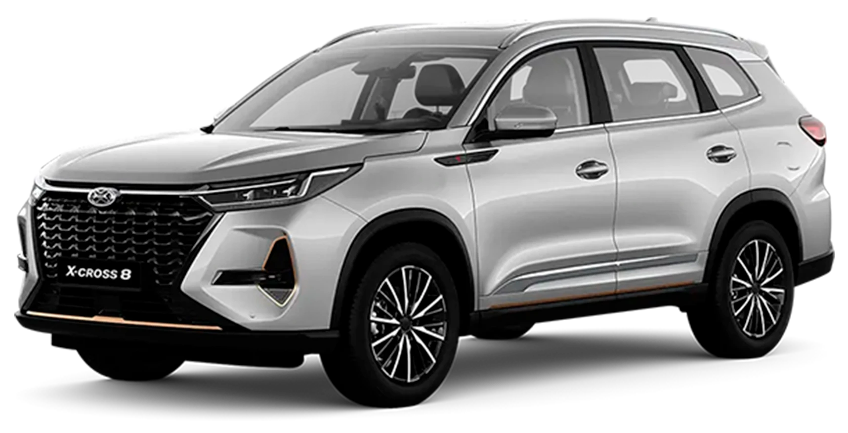 X-Cross 8